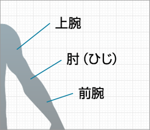 肘 の 内側