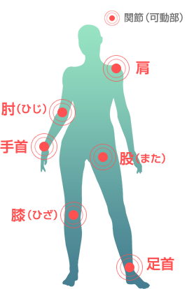 関節（可動部）