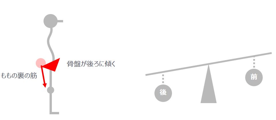 骨が後ろに傾く ももの裏の筋