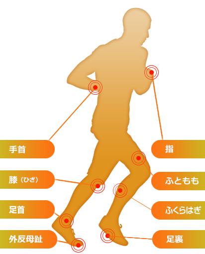 人体図