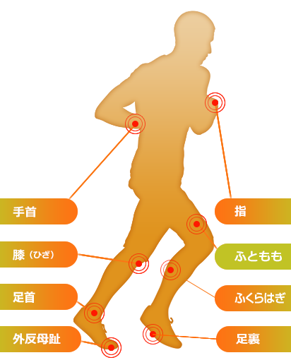 ふともも